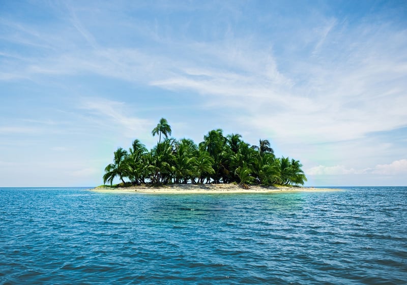 Caribbean Fusion